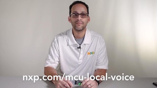 MCU LOCAL VOICE