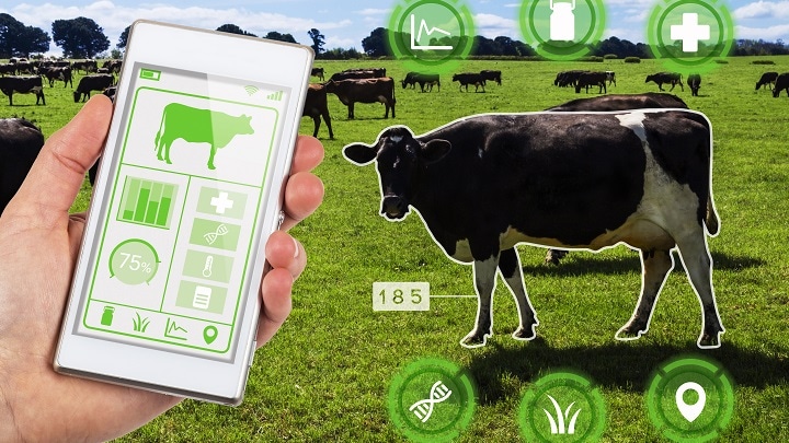 Smart Farming: Harvesting Data