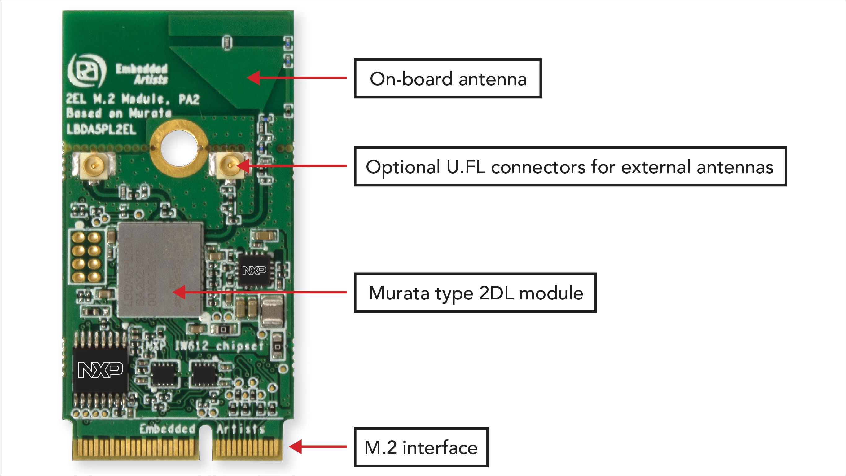 Embedded Artists (Murata) Type 2EL M.2 Module