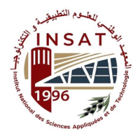 INSAT Logo